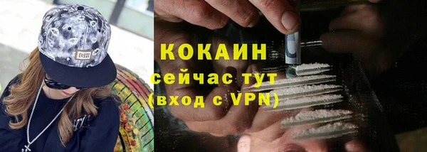 кокс Арсеньев