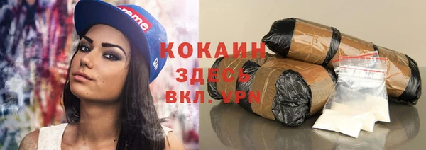 стаф Алексин
