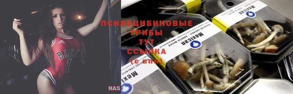 стаф Алексин