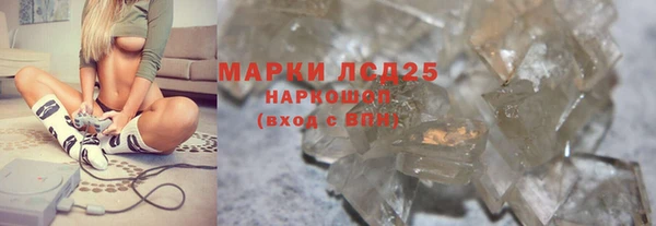 стаф Алексин