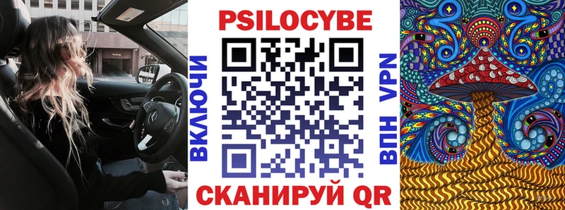 Галлюциногенные грибы Psilocybe  купить наркоту  Белозерск 